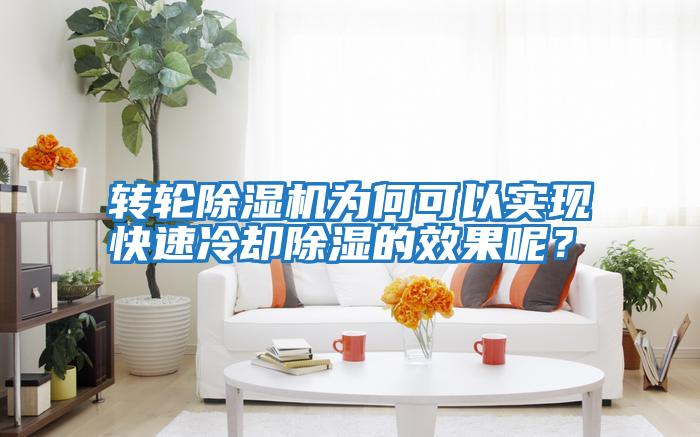 轉輪除濕機為何可以實現快速冷卻除濕的效果呢?