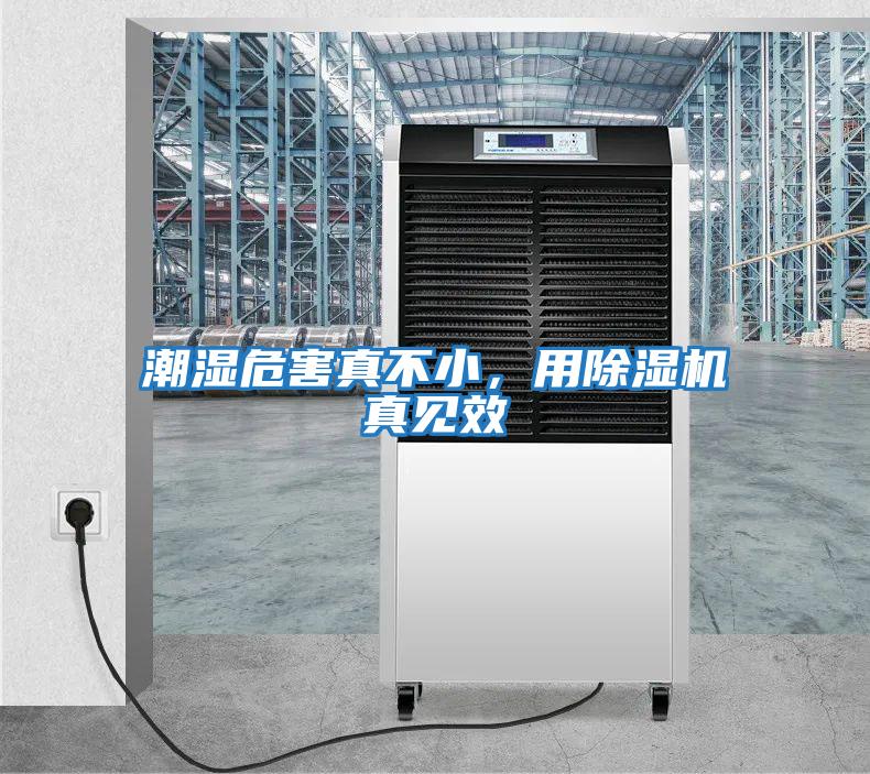 潮濕危害真不小，用除濕機(jī)真見效