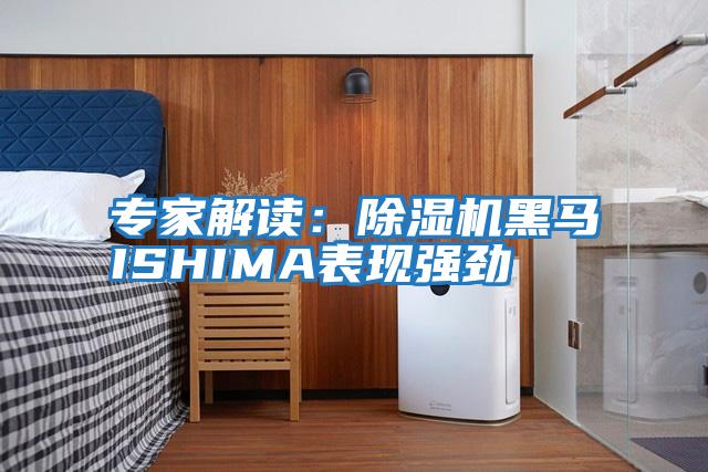 專家解讀：除濕機黑馬ISHIMA表現強勁