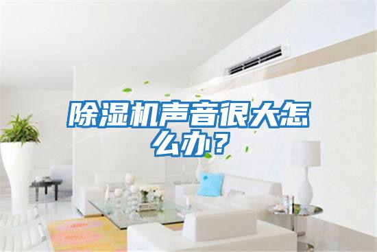 除濕機(jī)聲音很大怎么辦？