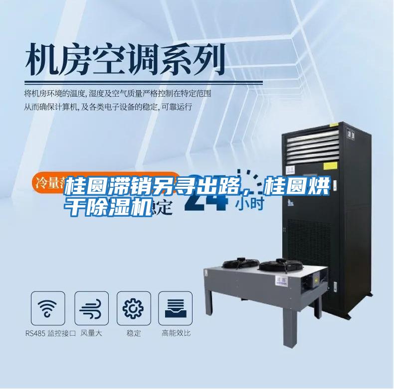 桂圓滯銷另尋出路，桂圓烘干除濕機