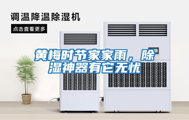 黃梅時節家家雨，除濕神器有它無憂