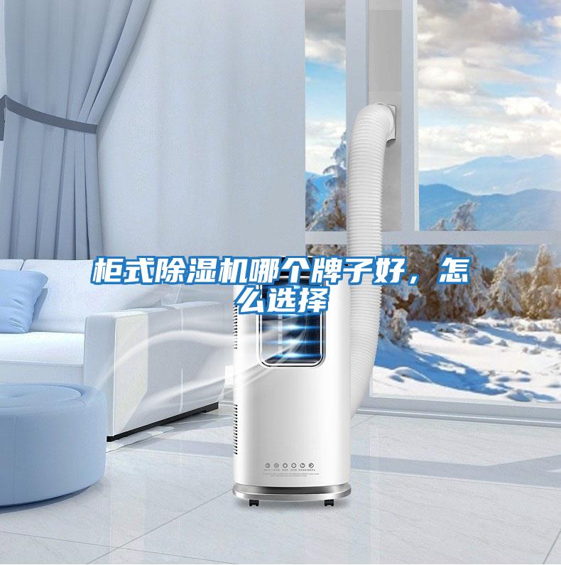 柜式除濕機哪個牌子好，怎么選擇
