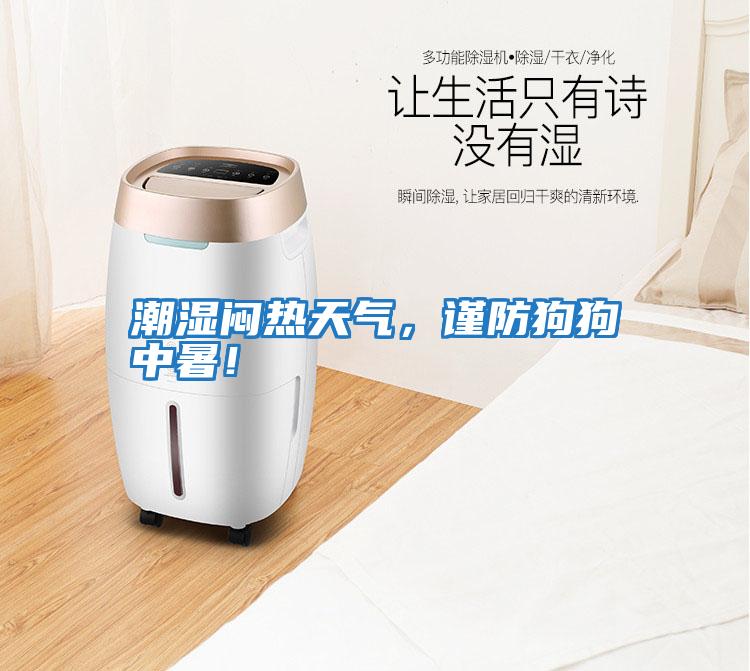 潮濕悶熱天氣，謹(jǐn)防狗狗中暑！