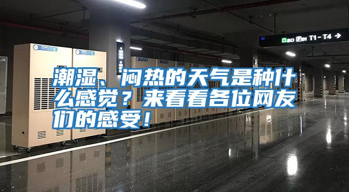 潮濕、悶熱的天氣是種什么感覺？來看看各位網友們的感受！
