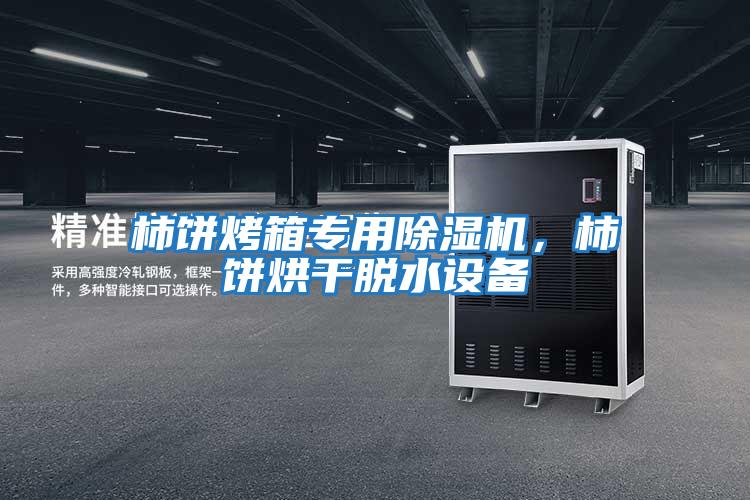 柿餅烤箱專用除濕機,柿餅烘干脫水設(shè)備