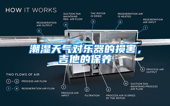 潮濕天氣對樂器的損害，吉他的保養