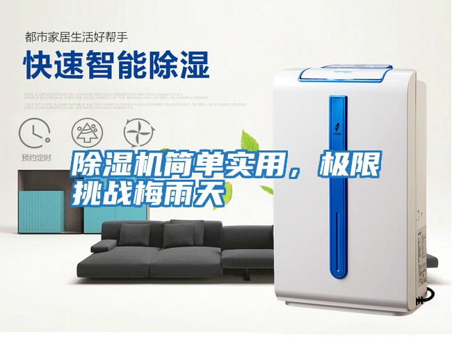 除濕機簡單實用，極限挑戰梅雨天