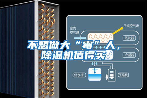 不想做大“霉”人，除濕機值得買