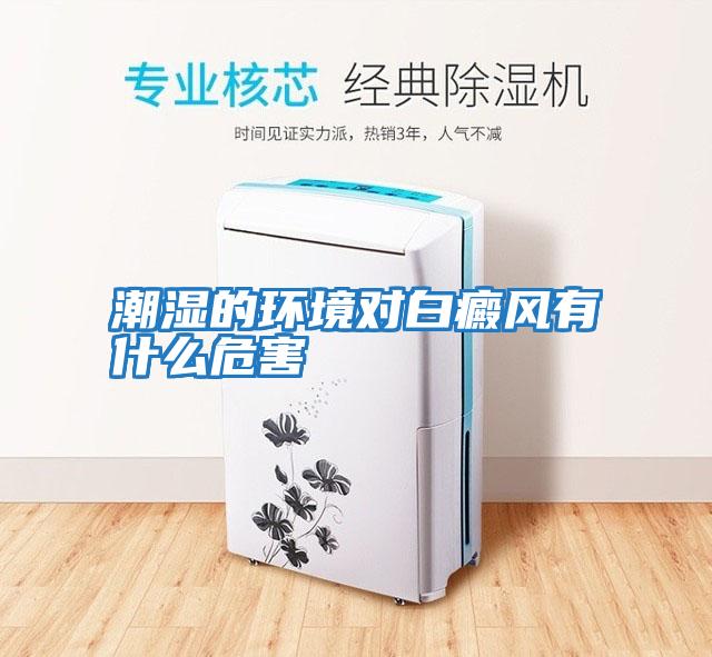 潮濕的環境對白癜風有什么危害