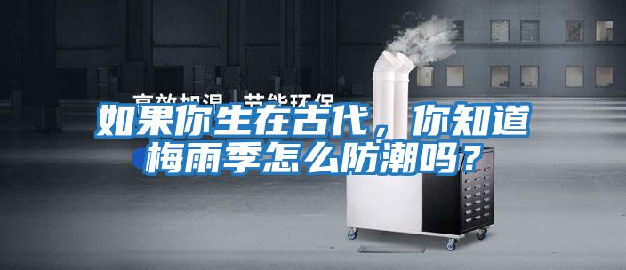 如果你生在古代，你知道梅雨季怎么防潮嗎？