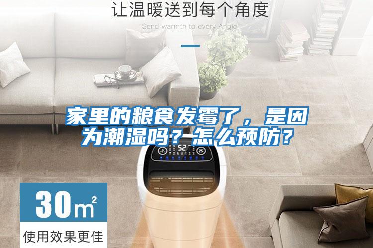 家里的糧食發(fā)霉了，是因?yàn)槌睗駟幔吭趺搭A(yù)防？