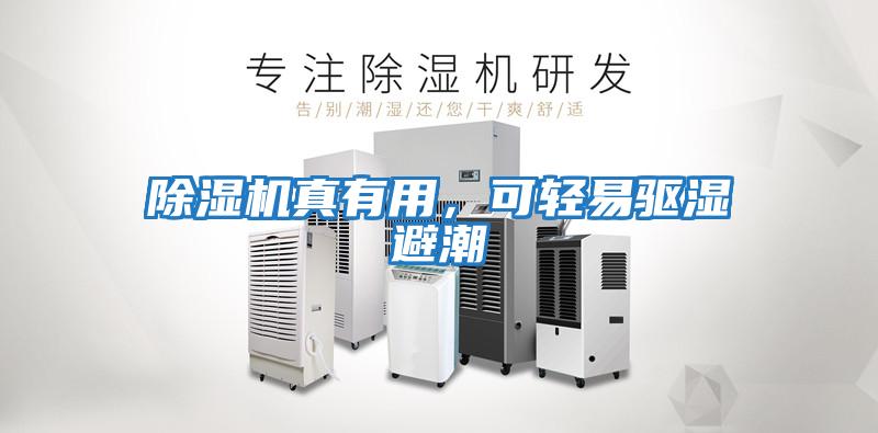 除濕機真有用，可輕易驅濕避潮