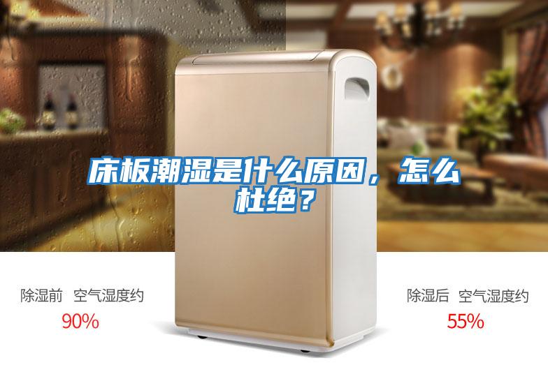 床板潮濕是什么原因，怎么杜絕？