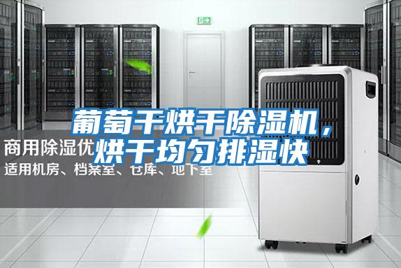 葡萄干烘干除濕機，烘干均勻排濕快