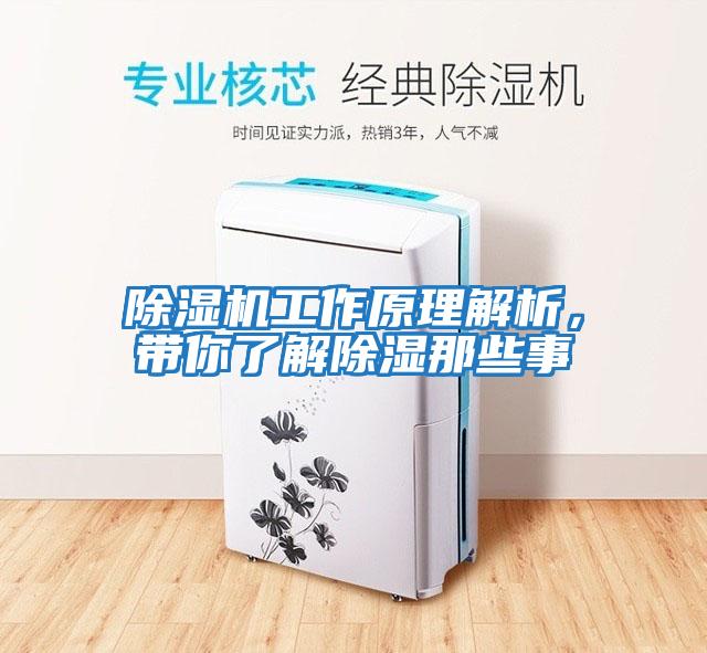除濕機工作原理解析，帶你了解除濕那些事