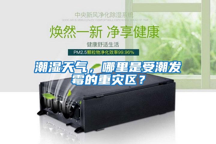 潮濕天氣，哪里是受潮發霉的重災區？