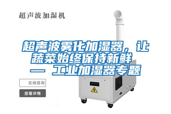 超聲波霧化加濕器，讓蔬菜始終保持新鮮 — 工業加濕器專題