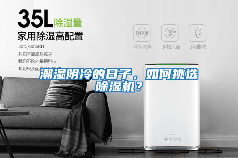 潮濕陰冷的日子，如何挑選除濕機(jī)？