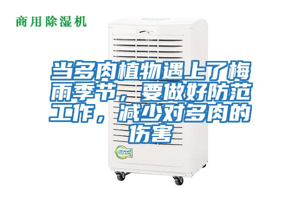 當多肉植物遇上了梅雨季節，要做好防范工作，減少對多肉的傷害