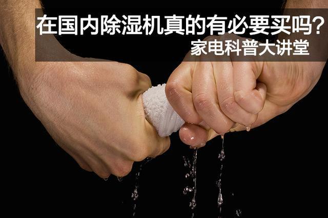紅遍全網的柞水木耳，烘干技術很重要！！