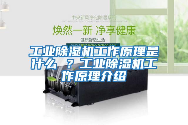 工業(yè)除濕機(jī)工作原理是什么 ？工業(yè)除濕機(jī)工作原理介紹