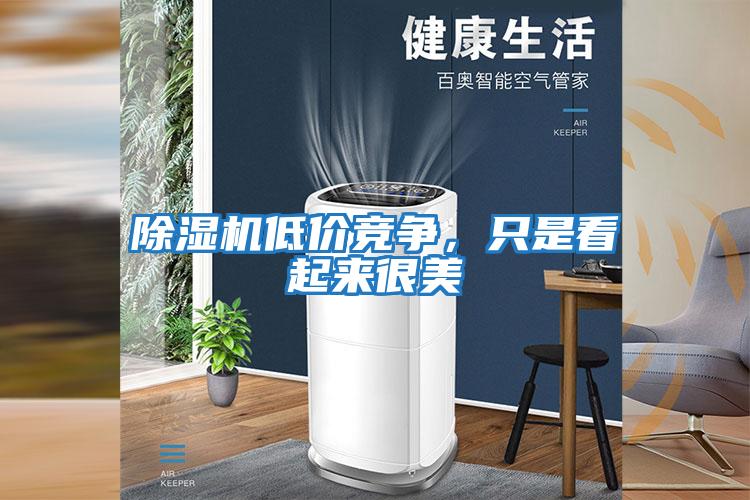 除濕機低價競爭，只是看起來很美