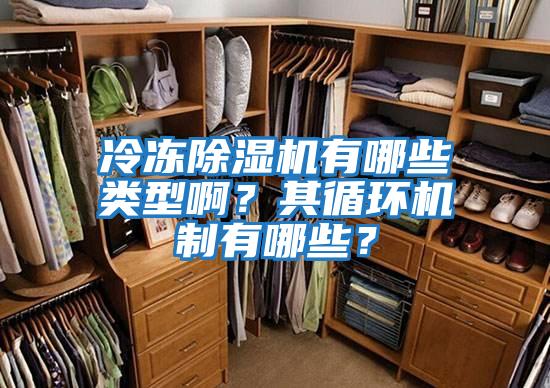冷凍除濕機有哪些類型啊？其循環(huán)機制有哪些？