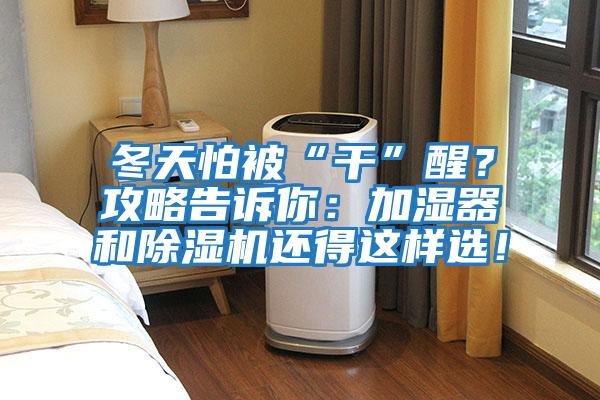 冬天怕被“干”醒？攻略告訴你：加濕器和除濕機還得這樣選！