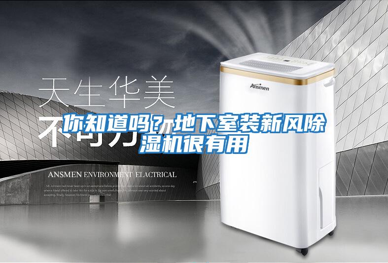 你知道嗎？地下室裝新風(fēng)除濕機很有用