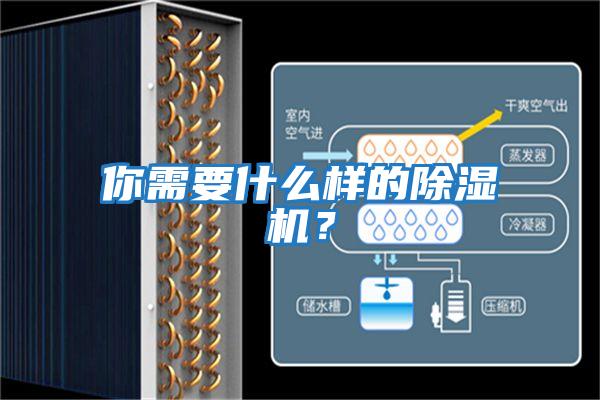 你需要什么樣的除濕機？