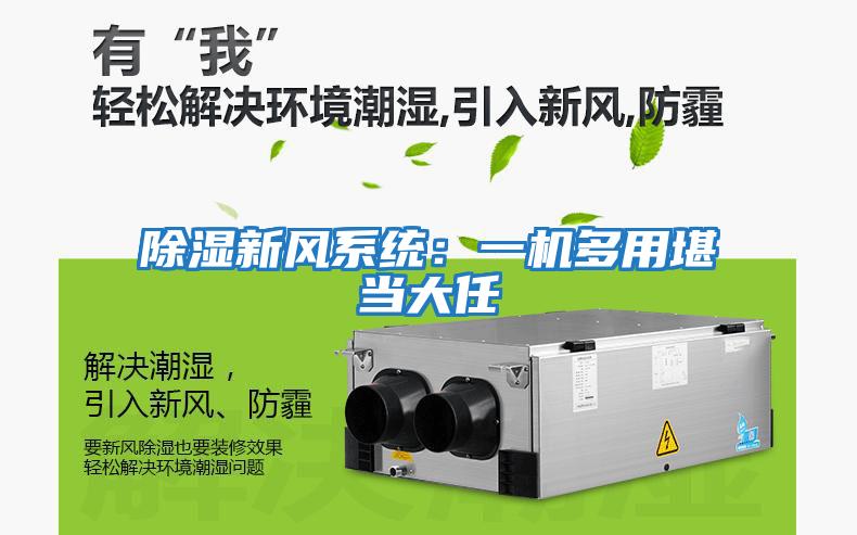 除濕新風系統：一機多用堪當大任