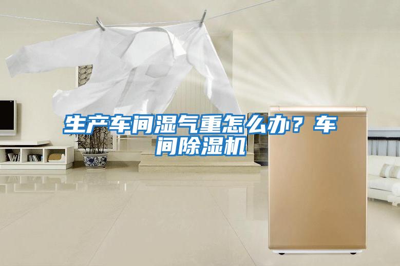 生產車間濕氣重怎么辦？車間除濕機