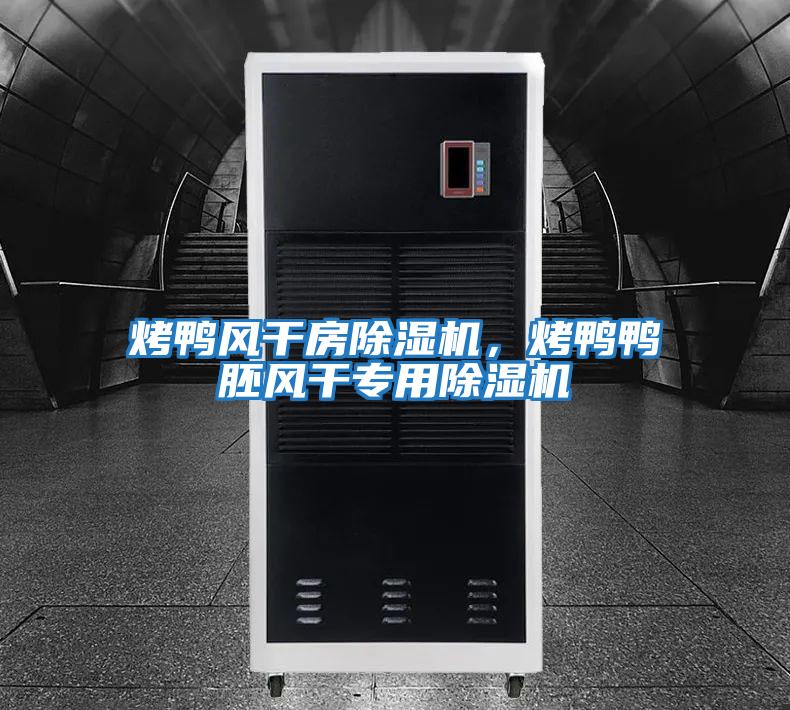 烤鴨風干房除濕機，烤鴨鴨胚風干專用除濕機