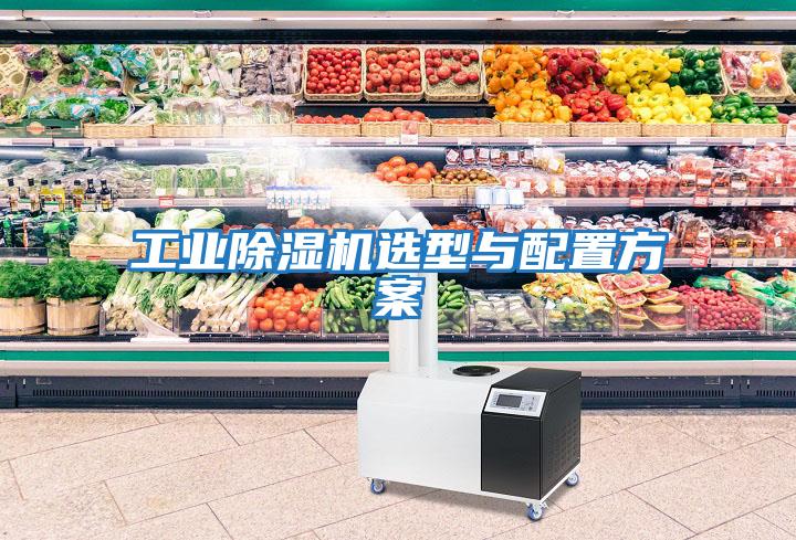 工業除濕機選型與配置方案