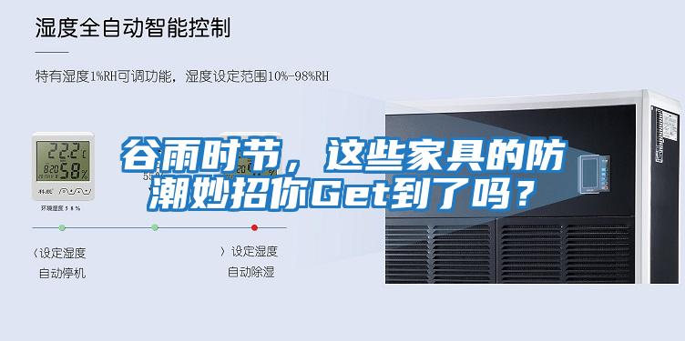 谷雨時節，這些家具的防潮妙招你Get到了嗎？
