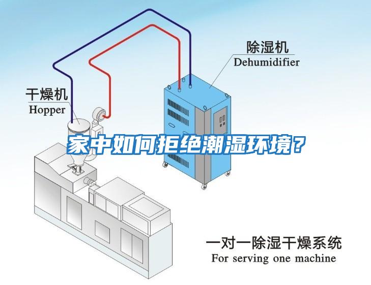 家中如何拒絕潮濕環(huán)境？