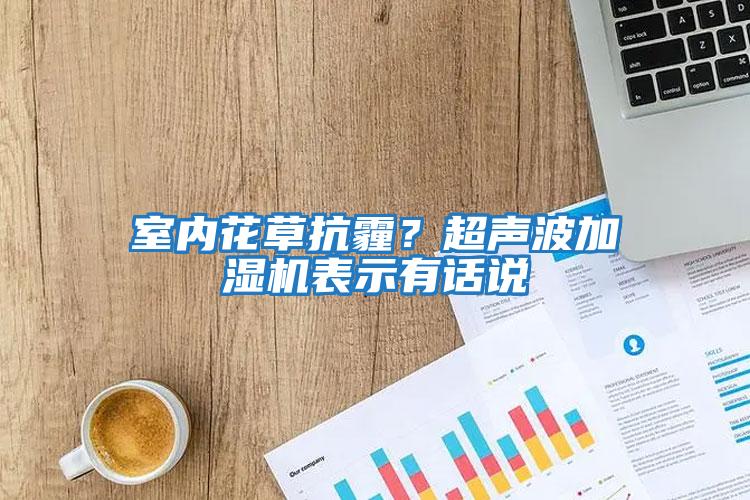 室內花草抗霾？超聲波加濕機表示有話說