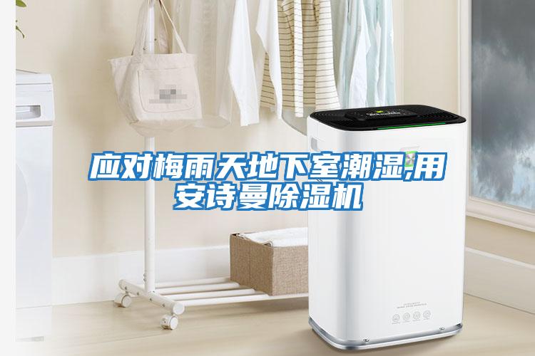 應對梅雨天地下室潮濕,用安詩曼除濕機