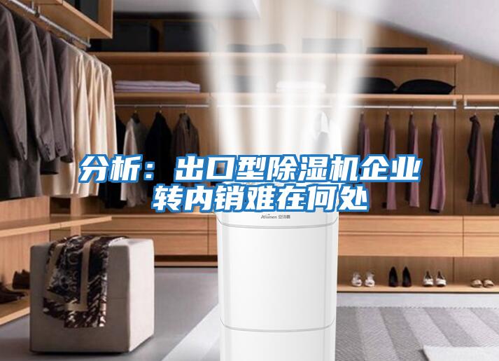 分析：出口型除濕機(jī)企業(yè) 轉(zhuǎn)內(nèi)銷(xiāo)難在何處