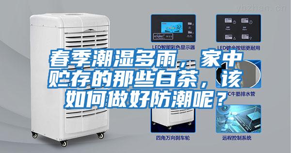 春季潮濕多雨，家中貯存的那些白茶，該如何做好防潮呢？