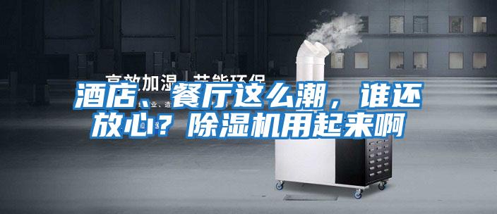 酒店、餐廳這么潮，誰還放心？除濕機用起來啊
