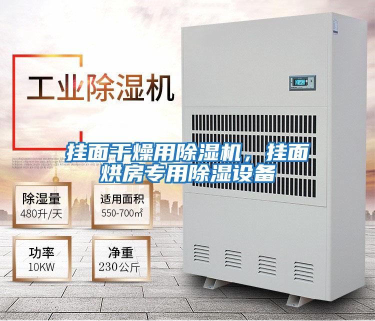 掛面干燥用除濕機，掛面烘房專用除濕設備