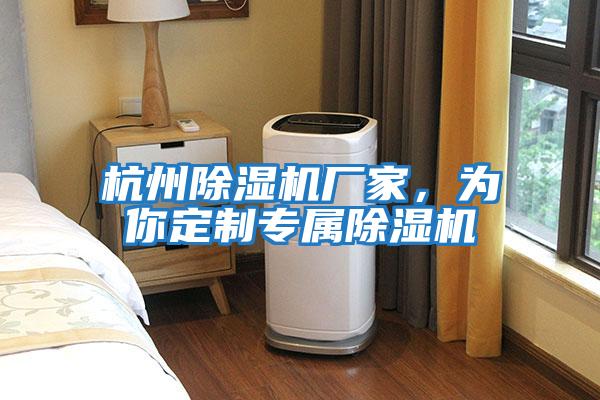 杭州除濕機廠家，為你定制專屬除濕機