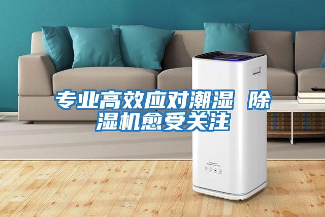 專業高效應對潮濕 除濕機愈受關注
