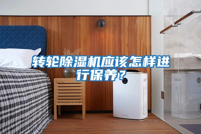 轉輪除濕機應該怎樣進行保養?