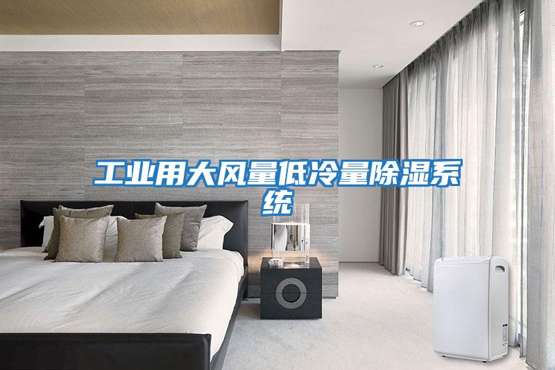 工業用大風量低冷量除濕系統