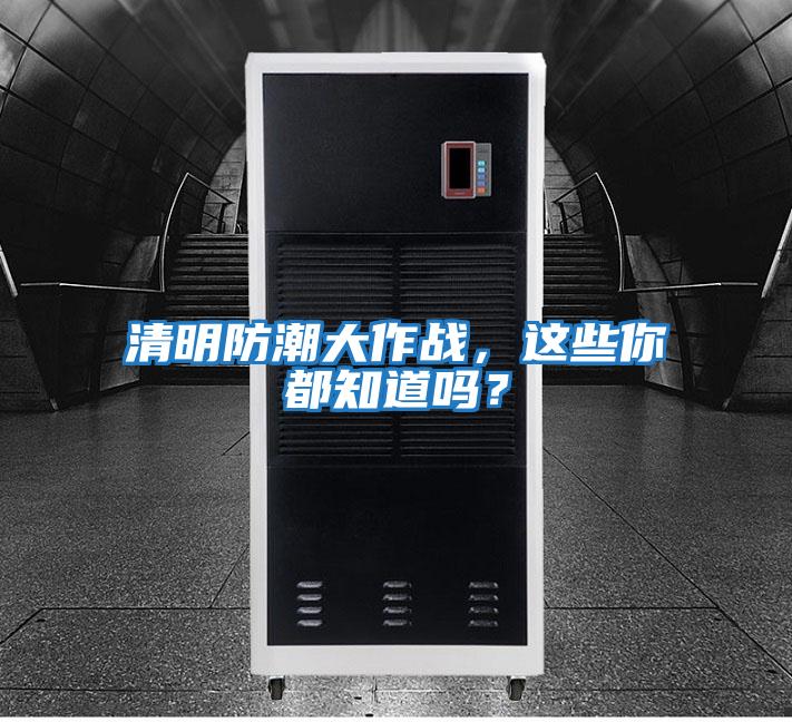 清明防潮大作戰，這些你都知道嗎？