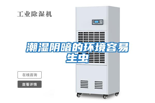 潮濕陰暗的環(huán)境容易生蟲(chóng)
