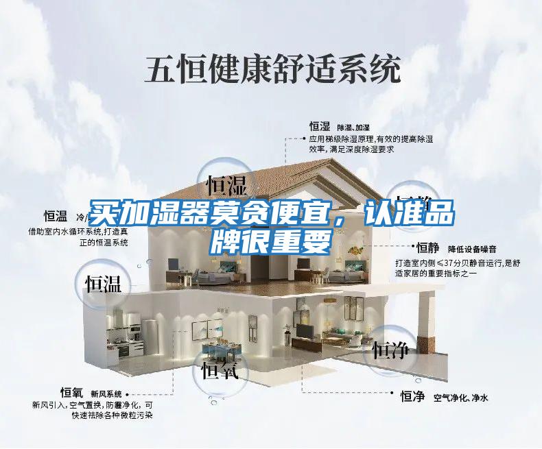 買加濕器莫貪便宜，認準品牌很重要